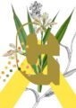 8306-botanical-alphabet-g-greeting-card-5060583438831-11661979877472-2.jpg