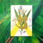 8306-botanical-alphabet-g-greeting-card-5060583438831-21674282713244-2.jpg