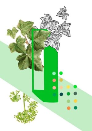 Botanical Alphabet I Greeting Card