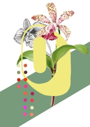 Botanical Alphabet O Greeting Card