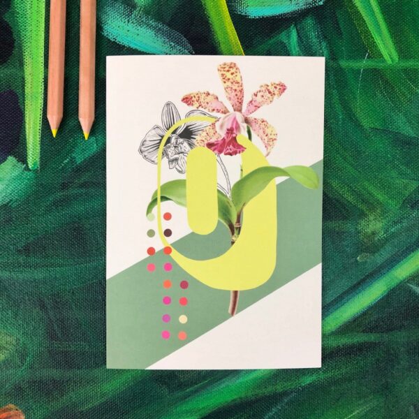 8314-botanical-alphabet-o-greeting-card-5060583438756-21674581426332-2.jpg