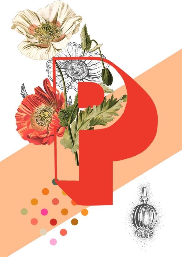 8315-botanical-alphabet-p-greeting-card-5060583438749-11661984202848-2.jpg 8315-botanical-alphabet-p-greeting-card-5060583438749-11661984202848-2.jpg