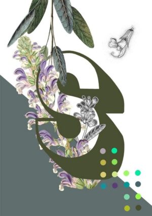 Botanical Alphabet S Greeting Card