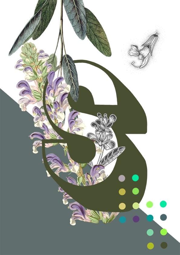 8318-botanical-alphabet-s-greeting-card-5060583438718-11661986463840-2.jpg 8318-botanical-alphabet-s-greeting-card-5060583438718-11661986463840-2.jpg