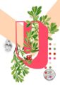 8320-botanical-alphabet-u-greeting-card-5060583438695-11661987774560-2.jpg