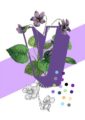 8321-botanical-alphabet-v-greeting-card-5060583438688-11661987872864-2.jpg