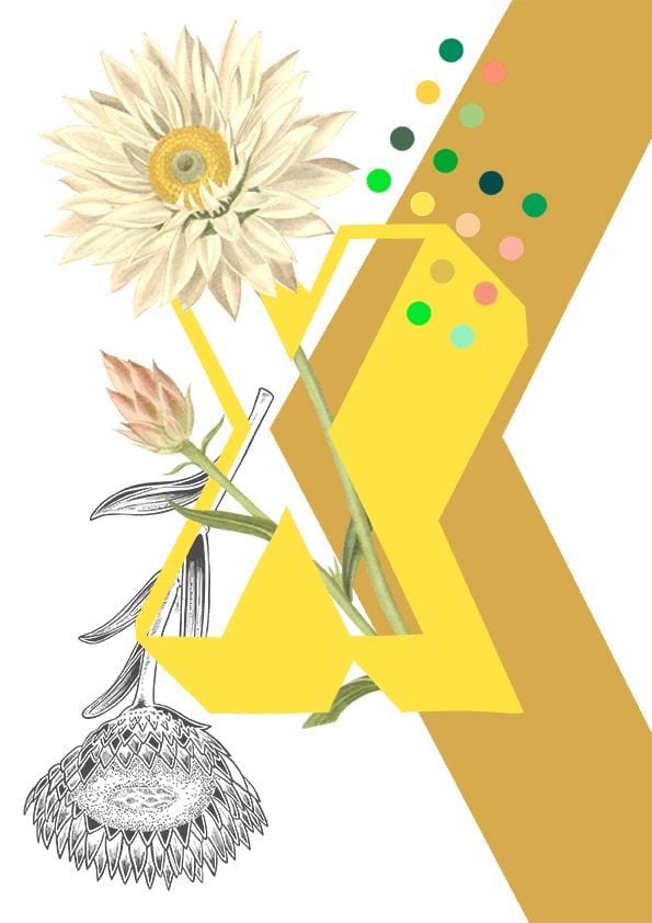 8323-botanical-alphabet-x-greeting-card-5060583438664-11661989052512-2.jpg 8323-botanical-alphabet-x-greeting-card-5060583438664-11661989052512-2.jpg