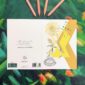 8323-botanical-alphabet-x-greeting-card-5060583438664-21675134320796-2.jpg
