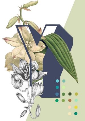 Botanical Alphabet Y Greeting Card