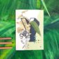 8324-botanical-alphabet-y-greeting-card-5060583438657-21675280498844-2.jpg