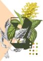 8325-botanical-alphabet-z-greeting-card-5060583438640-11661989642336-2.jpg