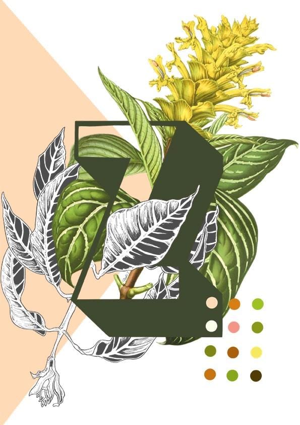8325-botanical-alphabet-z-greeting-card-5060583438640-11661989642336-2.jpg 8325-botanical-alphabet-z-greeting-card-5060583438640-11661989642336-2.jpg