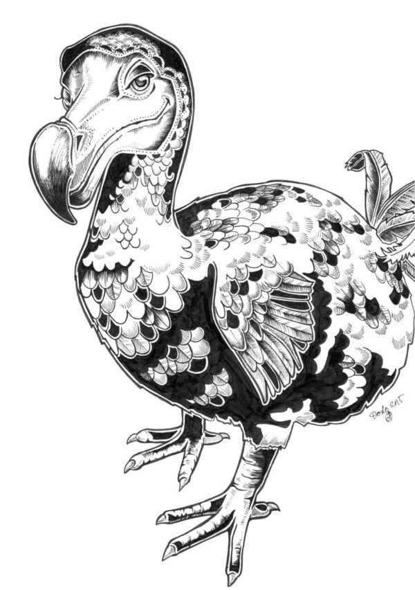 8520-dodo-greeting-card-5060583436561-21531574609-2.jpg