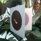 8561-black-swan-greeting-card-5060583436042-14637947813984-2.jpg