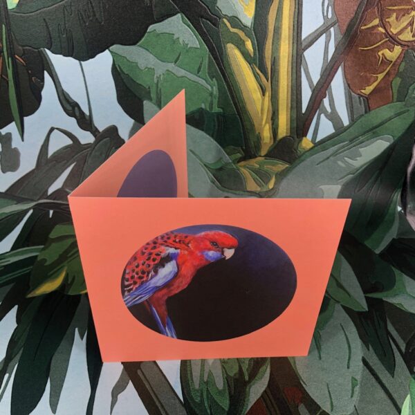 8562-crimson-rosella-greeting-card-5060583436035-14637949616224-2.jpg