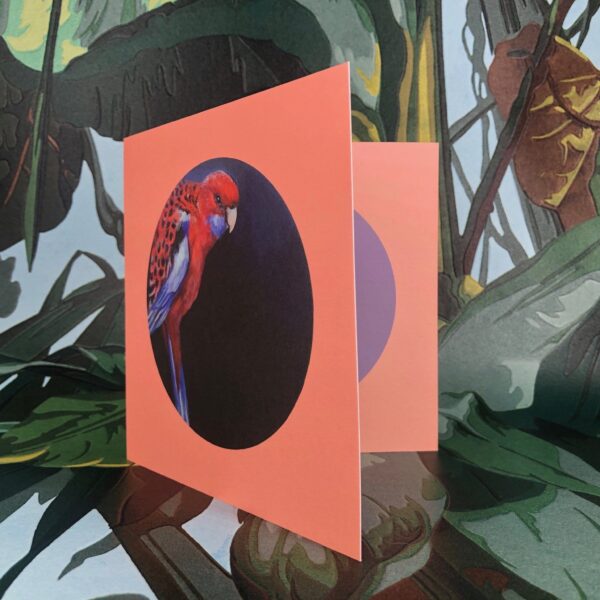 8562-crimson-rosella-greeting-card-5060583436035-14637949681760-2.jpg