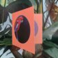 8562-crimson-rosella-greeting-card-5060583436035-14637949681760-2.jpg