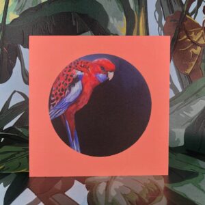 Crimson Rosella Greeting Card
