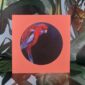 8562-crimson-rosella-greeting-card-5060583436035-14637949714528-2.jpg