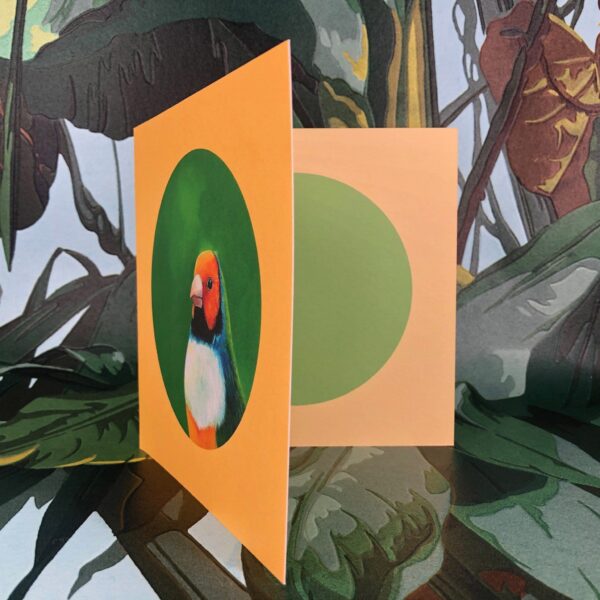 8564-gouldian-finch-greeting-card-5060583436011-14637951516768-2.jpg