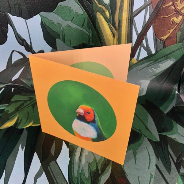 8564-gouldian-finch-greeting-card-5060583436011-14637951549536-2.jpg