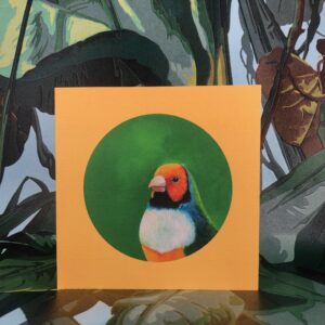 Gouldian Finch Greeting Card