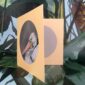8565-pelican-greeting-card-5060583436004-14637948534880-2.jpg