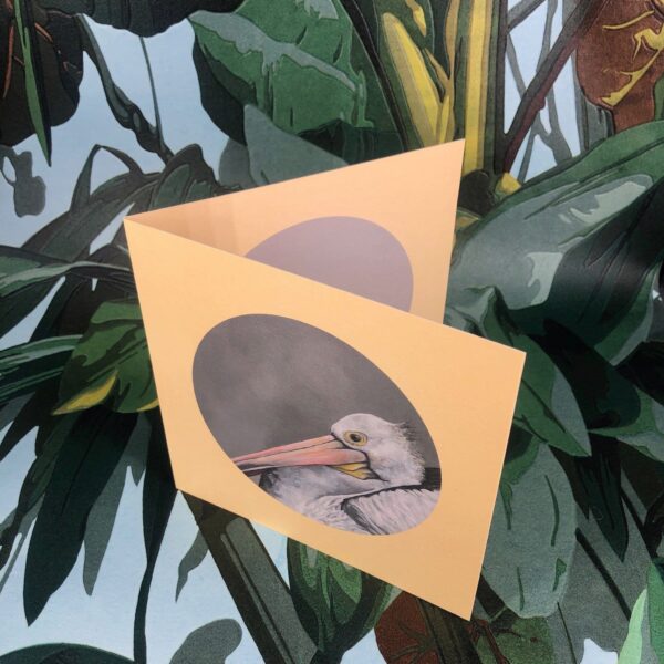 8565-pelican-greeting-card-5060583436004-14637948567648-2.jpg