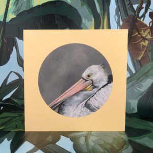Pelican Greeting Card