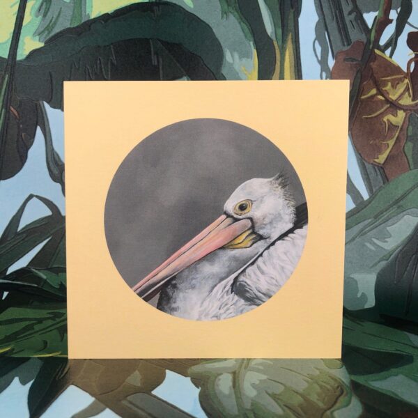 8565-pelican-greeting-card-5060583436004-14637948600416-2.jpg