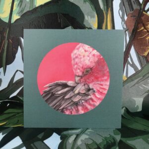 Pink Galah Greeting Card