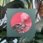8566-pink-galah-greeting-card-5060583435991-14637923106912-2.jpg