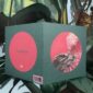 8566-pink-galah-greeting-card-5060583435991-14637923172448-2.jpg