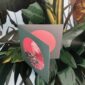 8566-pink-galah-greeting-card-5060583435991-14637923237984-2.jpg