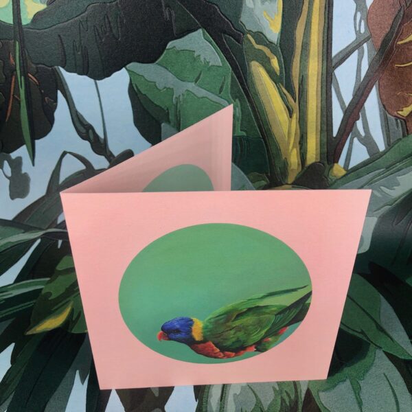 8567-rainbow-lorikeet-greeting-card-5060583435984-14637934739552-2.jpg