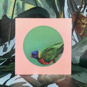 Rainbow Lorikeet Greeting Card