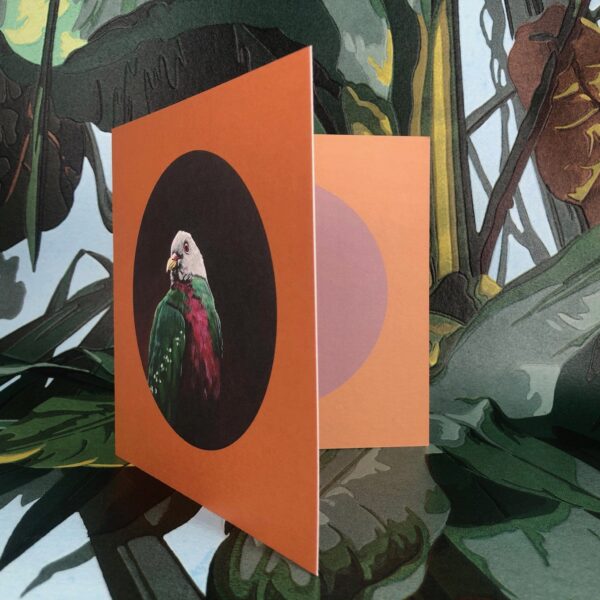 8569-wompoo-fruit-dove-greeting-card-5060583435960-14637980713056-2.jpg
