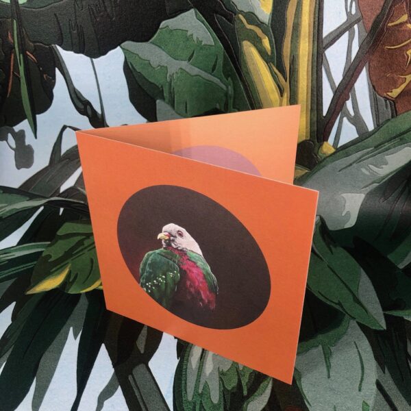 8569-wompoo-fruit-dove-greeting-card-5060583435960-14637980745824-2.jpg
