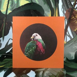 Wompoo Fruit Dove Greeting Card