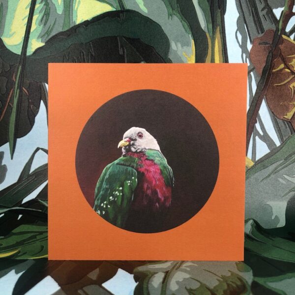 8569-wompoo-fruit-dove-greeting-card-5060583435960-14637980778592-2.jpg