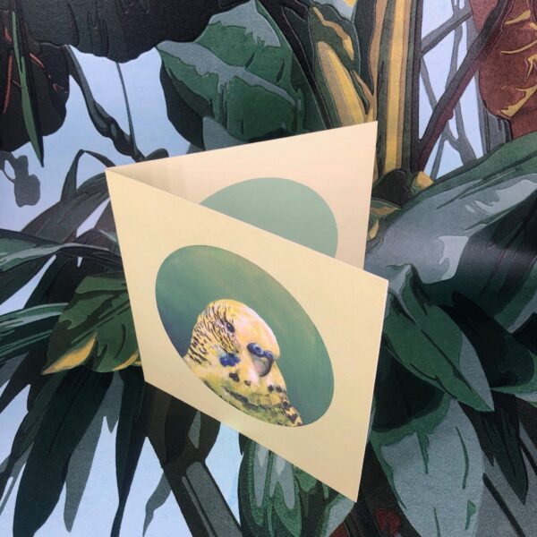 8570-green-budgie-greeting-card-5060583435953-14637925957728-2.jpg 8570-green-budgie-greeting-card-5060583435953-14637925957728-2.jpg
