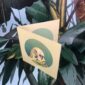 8570-green-budgie-greeting-card-5060583435953-14637925957728-2.jpg