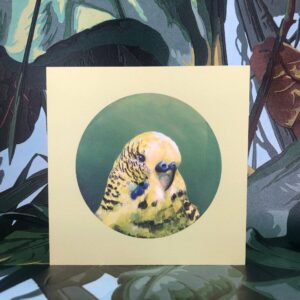 Green Budgie Greeting Card