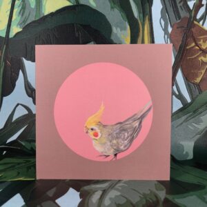 Cockatiel Greeting Card