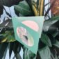 8572-umbrella-cockatoo-greeting-card-5060583439135-14637982810208-2.jpg