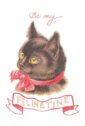 8610-felinetine-greeting-card-5060583437049-5639250673760-2.jpg