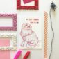 8611-my-cat-thinks-you-re-ok-greeting-card-5060583436943-21678728839324-2.jpg