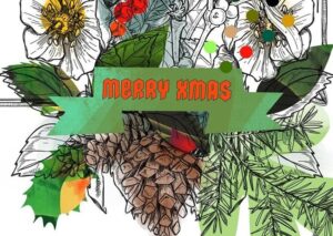 Merry Xmas Greeting Card