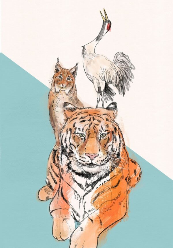 8892-eurasian-crane-northern-lynx-amur-tiger-greeting-card-5060583439296-15259778318432-2.jpg