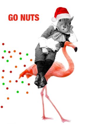 Go Nuts Christmas Greeting Card